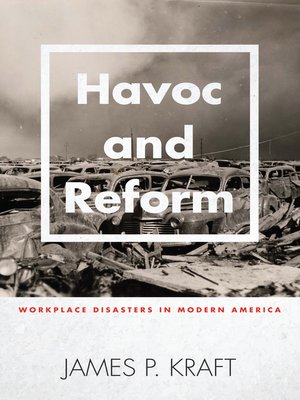 cover image of Havoc and Reform